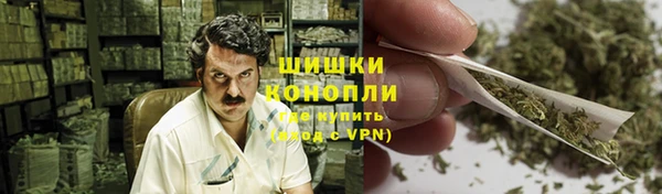 PSILOCYBIN Козельск