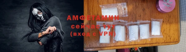 стаф Козловка
