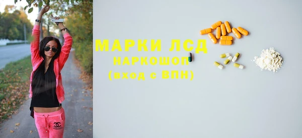 стаф Козловка