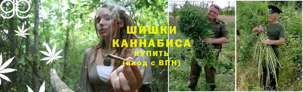 стаф Козловка