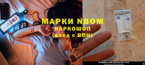 стаф Козловка