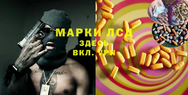 индика Киреевск