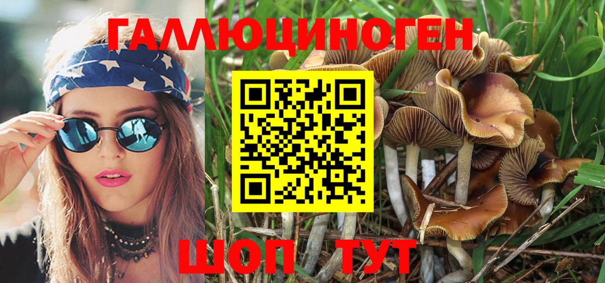 Галлюциногенные грибы Psilocybine cubensis Кириши