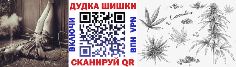 Конопля конопля  Кириши 